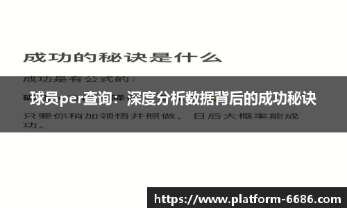 球员per查询：深度分析数据背后的成功秘诀